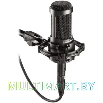 Микрофон Audio-Technica AT2035